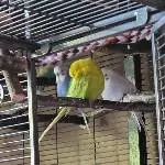 Gemeinschaftliches Chillen