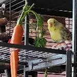 Wie? Das ist alles?