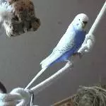 Lenchen chillt