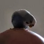 Du hast aber komische Haare auf dem Kopf
