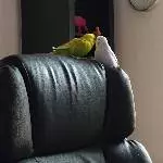 Hallo Süße!