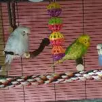 Cindy, Leo und Lenchen warten