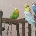 Wir Vier chillen etwas