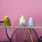 Die Vier beim Chillen