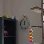 Wie spät ist es?