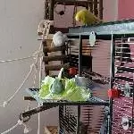 Lecker, lecker, lecker Salat