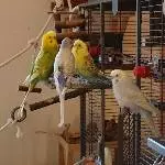 Bert und Leo baggern