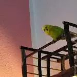 Leo hat alles im Blick