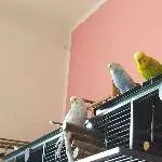 Wir haben alles im Blick