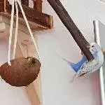Lenchen hängt ab