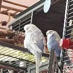 Die Mädels sind sooooooooo müde