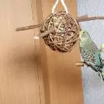 Merlin und Luna knabbern :)