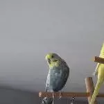 Hallo von hoch oben 