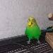 Hier bin ich ^^