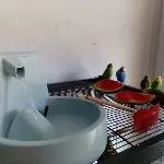 Poolparty