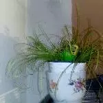 Suchbild - Wo ist der Welli?
