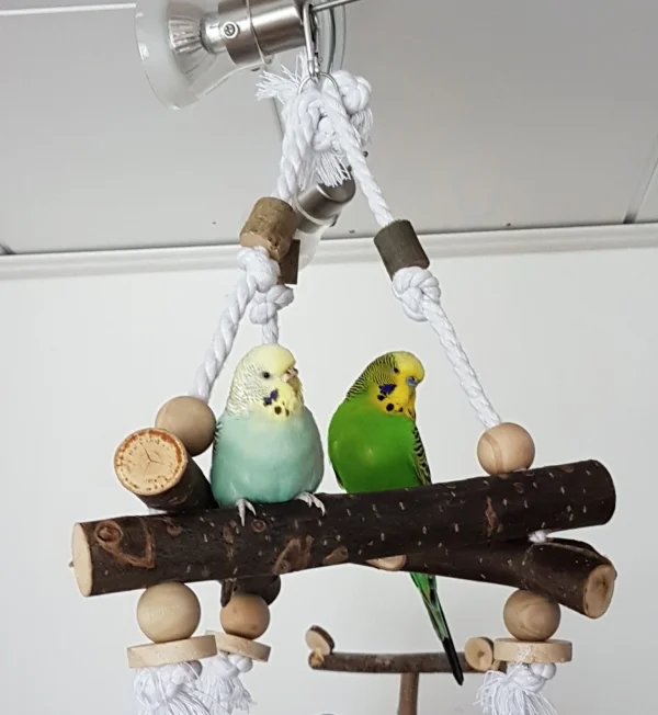 Wellensittich-Bild: Auf dem neuen Sitzdingens kann man es eigentlich ganz gut aushalten. ~Hermine und Emil 
