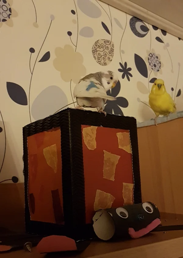Wellensittich-Bild: ...und meine Laterne mit mir :) . ~Krümel 