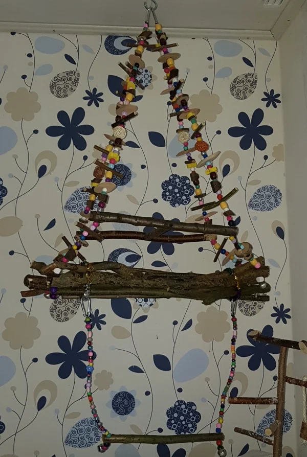 Wellensittich-Bild: Auch dieses Jahr waren Pauls ehemalige FeLos so lieb, ihm und den anderen Wellis ein Weihnachtsgeschenk zu machen. Ist das nicht ein toller Sitz- und Spielplatz?
Uns FeLos gefällt er wahnsinnig gut. Die Wellis sind noch skeptisch, auch wenn es schon erste halbherzige Anflugversuche gab ;) .