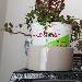Versteckt 