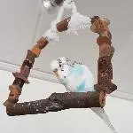 Hey FeLo