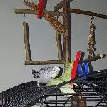 Oskar entdeckt den Salat