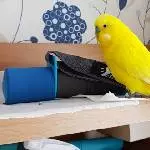 Beim Workout 