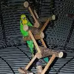 FeLo, ich seh dich