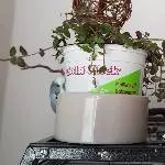 Versteckt 