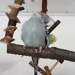 Was is denn?!