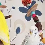 Samsons Profilbild, ein neuer Versuch 