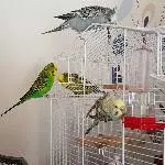Krümel kriegt Besuch
