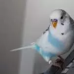Mein Krümelchen
