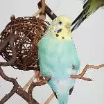 Sonntag ist Chilltag
