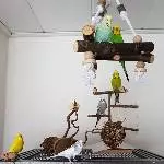 Gruppenbild mit Dame