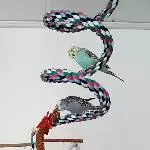 Ausflug zur Welli-Spirale