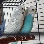Wir sind die Neuen!