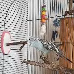Erstmal streeeeeckeeeeeen!