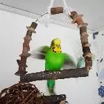 Ich koooooommeeeeee!