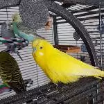 Guckt mal