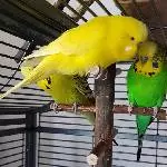 Flotter Dreier ;) 