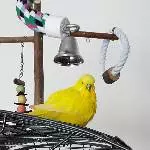 Ist es ein Tennisball?