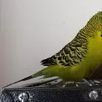 Strike a pose