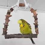 Flausche-Paul :)