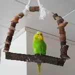 Sallys neues Profilbild 