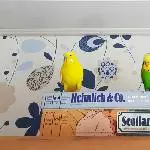 Spielenachmittag 