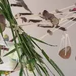 Eddie und der Wiesenfuchsschwanz