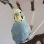 Lotti die kleine Hexe