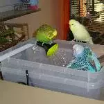 Erfrischende Dusche