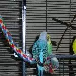 Richie und Jenny